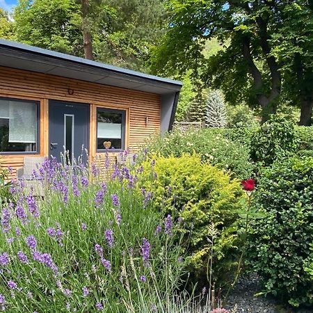 Das Ferienhaus Am Tiergarten Wernigerode Exterior foto