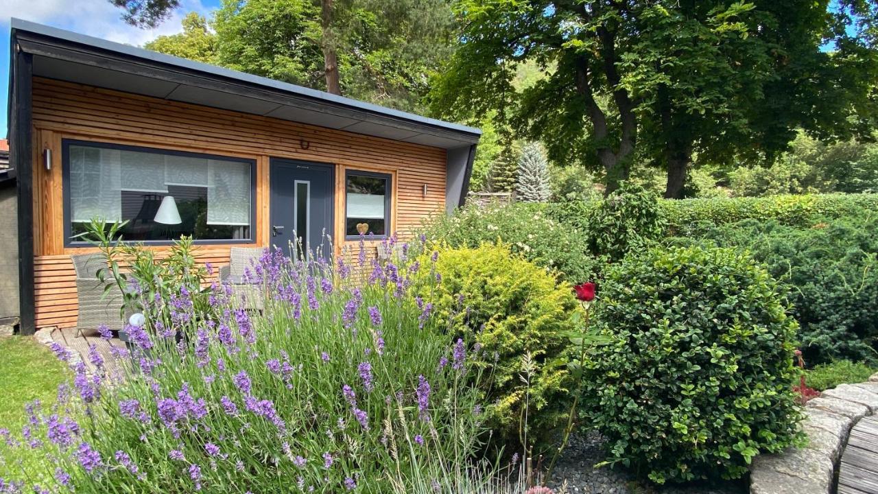 Das Ferienhaus Am Tiergarten Wernigerode Exterior foto