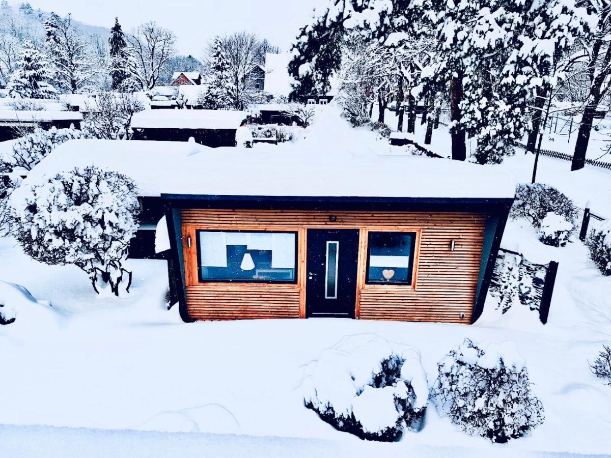 Das Ferienhaus Am Tiergarten Wernigerode Exterior foto